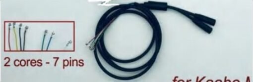 2 Cores-7 Pins main line  ( Right)_x000D_