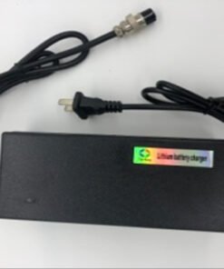 Charger 54.6V/2A(XVE or Gojusin brand): Zero 9