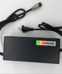 Charger 58.8V/2.0A(XVE or Gojusin brand): Zero 10
