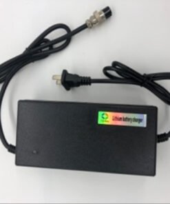 Charger 58.8V/2.0A(XVE or Gojusin brand): Zero 10X