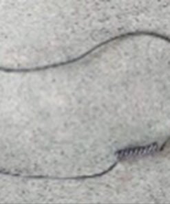 Extension cord:  M2